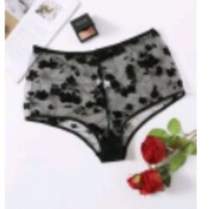 Sheer Floral Panties
